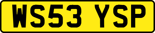 WS53YSP