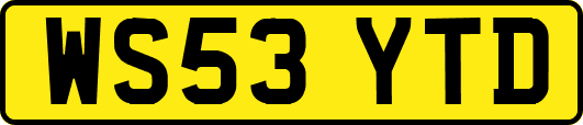 WS53YTD
