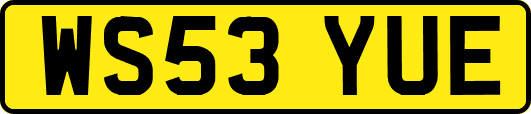 WS53YUE
