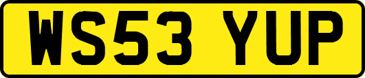 WS53YUP