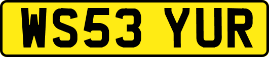 WS53YUR