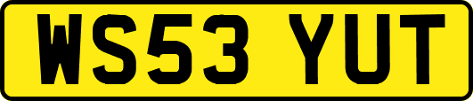 WS53YUT