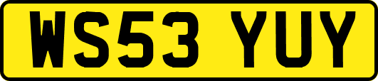 WS53YUY