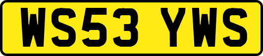 WS53YWS