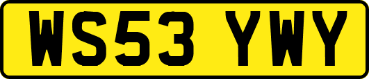 WS53YWY