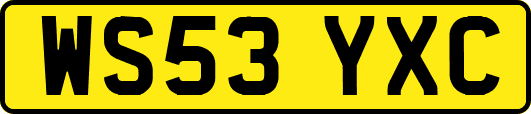 WS53YXC