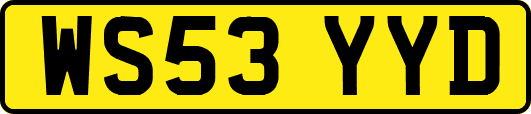WS53YYD