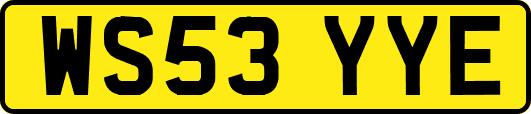 WS53YYE