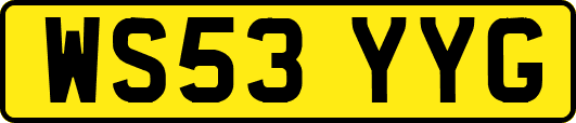 WS53YYG