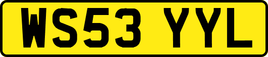 WS53YYL