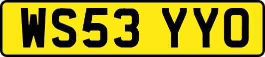 WS53YYO
