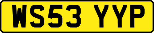 WS53YYP