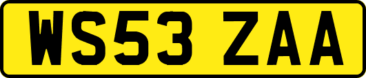 WS53ZAA