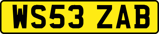 WS53ZAB
