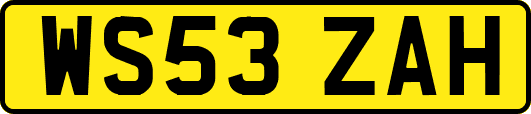 WS53ZAH