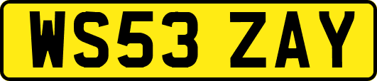 WS53ZAY