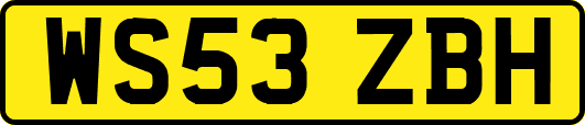 WS53ZBH