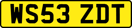 WS53ZDT