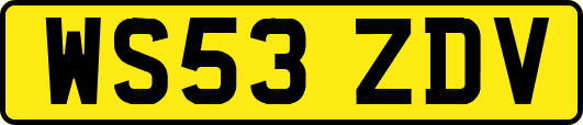 WS53ZDV