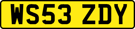 WS53ZDY