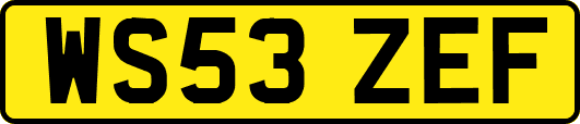 WS53ZEF
