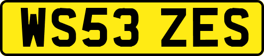WS53ZES