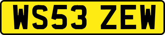 WS53ZEW