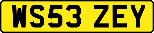 WS53ZEY