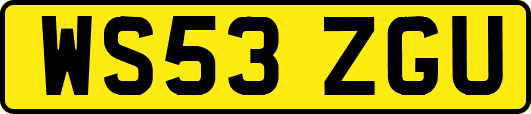 WS53ZGU