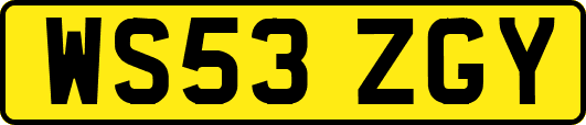WS53ZGY