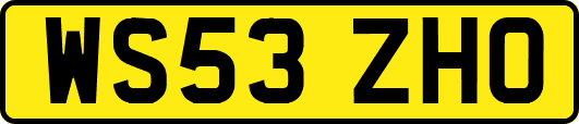 WS53ZHO