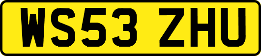 WS53ZHU