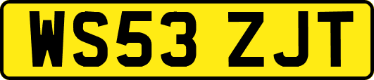 WS53ZJT
