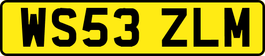 WS53ZLM