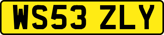 WS53ZLY