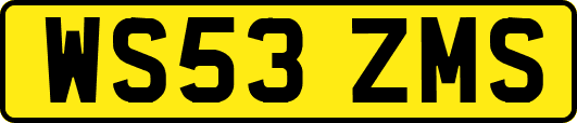 WS53ZMS