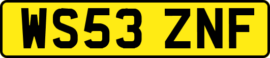 WS53ZNF