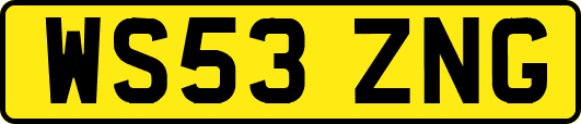 WS53ZNG