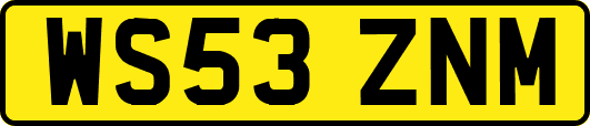 WS53ZNM