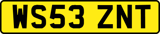 WS53ZNT
