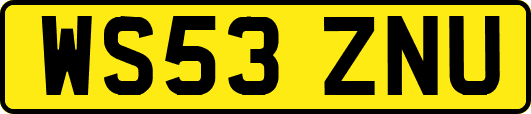 WS53ZNU