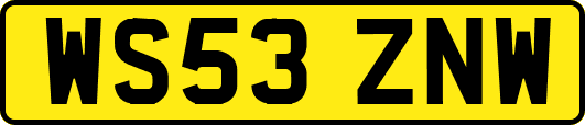 WS53ZNW