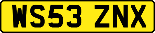 WS53ZNX