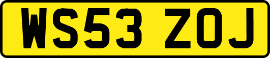 WS53ZOJ