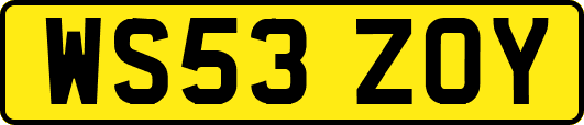WS53ZOY