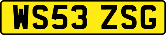 WS53ZSG