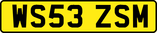 WS53ZSM
