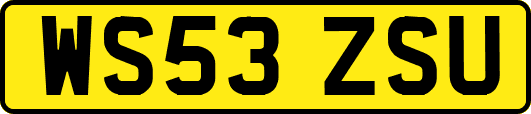 WS53ZSU