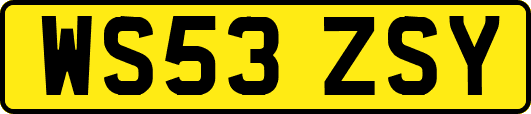 WS53ZSY