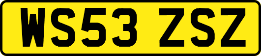 WS53ZSZ